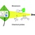 Measuring ROS and redox markers in plant cells